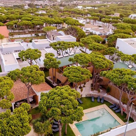 شيكلانا دي لا فرونتيرا Apartamentos Biopasivos Living Pura Madera المظهر الخارجي الصورة